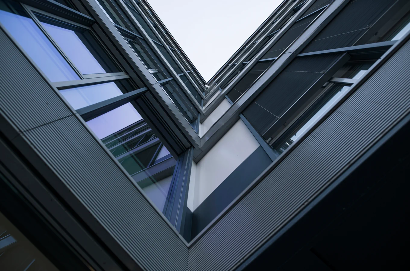 contact Clayston Hamburg