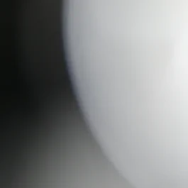 Clayston Lawyers Team